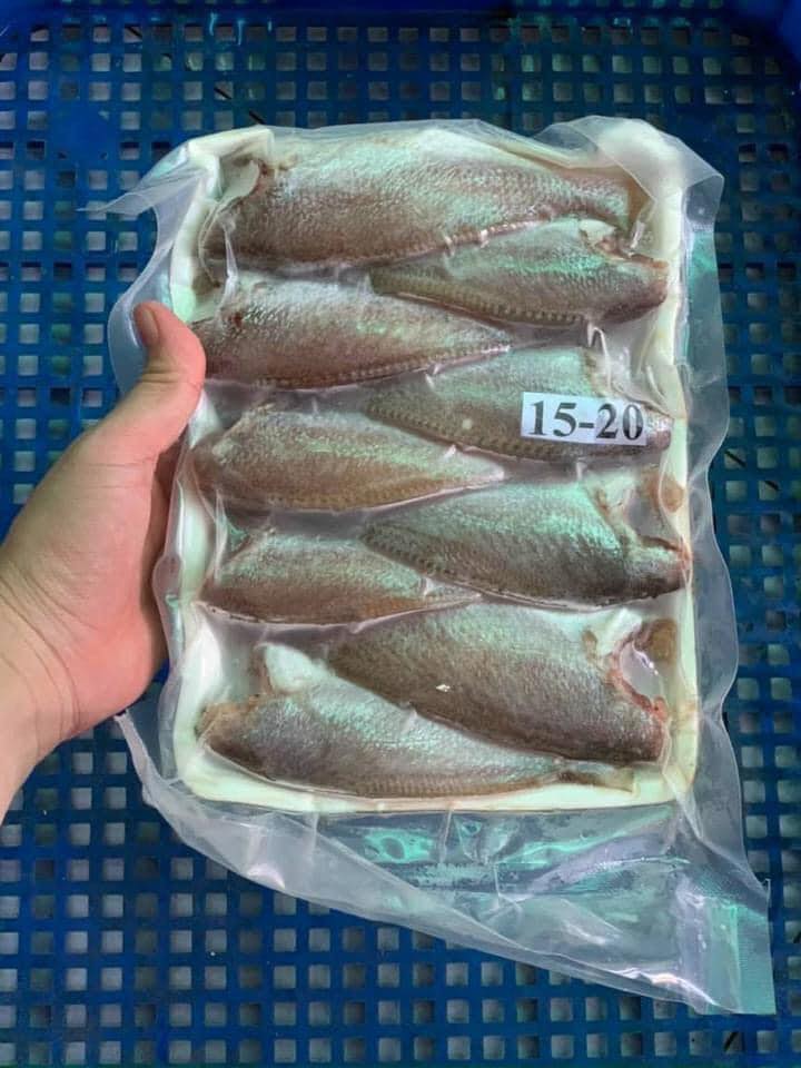 Cá đù một nắng size trung