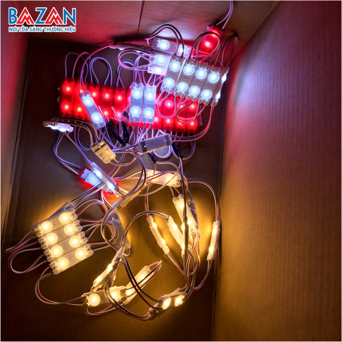 Led Module Injection 2 bóng 12V siêu sáng, chống nước, vỉ 10 thanh | Chuyên cung cấp sỉ và lẻ Led Module 2 bóng