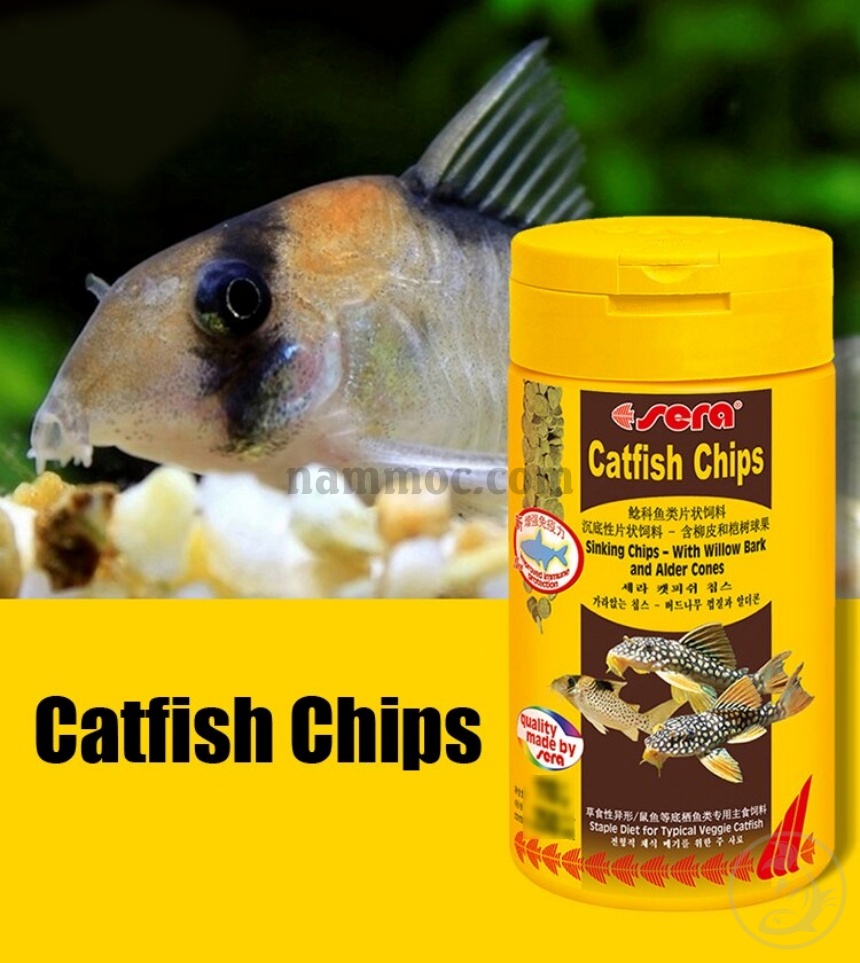 Sera - catfish chips | thức ăn dành cho cá chuột - pleco & các loại cá tầng đáy khác