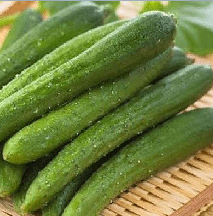 Hạt giống Dưa chuột Nhật quả dài - 10 hạt/gói