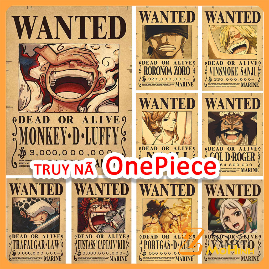 Tranh One Piece Truy Nã Giá Rẻ Tháng 5,2023|Biggo Việt Nam