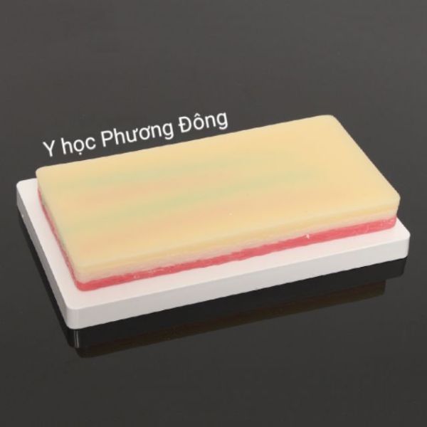Mô hình da luyện tập tiêm truyền dịch y tế