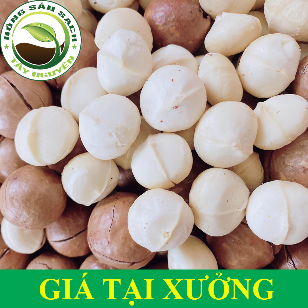 500g Hạt macca sấy nứt vỏ - hạt macca nứt vỏ - Hạt mắc ca nứt vỏ Đắk Lắk