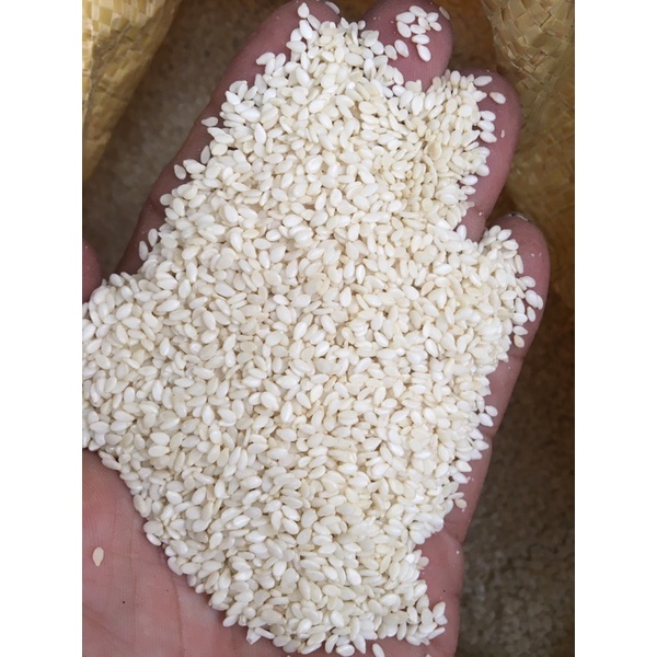 Vừng trắng nhân 1kg giá rẻ mè ruột mè nhân không vỏ