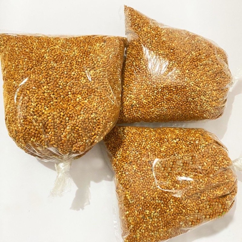 500g Kê đỏ loại to, hạt tròn bóng mẩy cho chim vẹt, sẻ, manh manh nhật, sắc nhật, yến hót, bạc má...