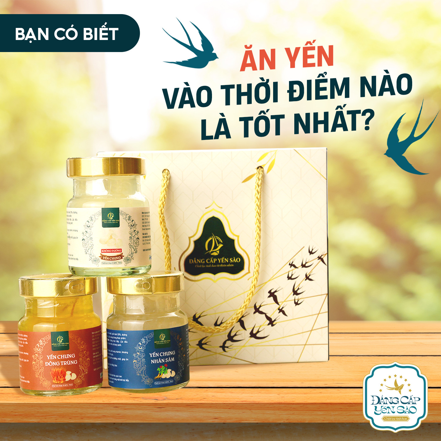 Tổ yến chưng sẵn Việt Vương Yến nguyên chất chưng sẵn tiệt trùng hũ 70ml bổ sung dưỡng chất bồi bổ sức khỏe tăng sức đề kháng