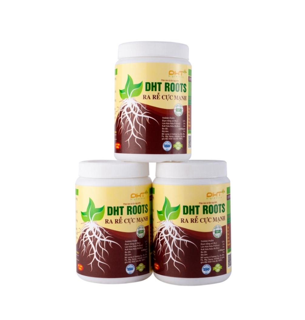 3 Hũ Ra Rễ Cực Mạnh DHT ROOTS 100gr