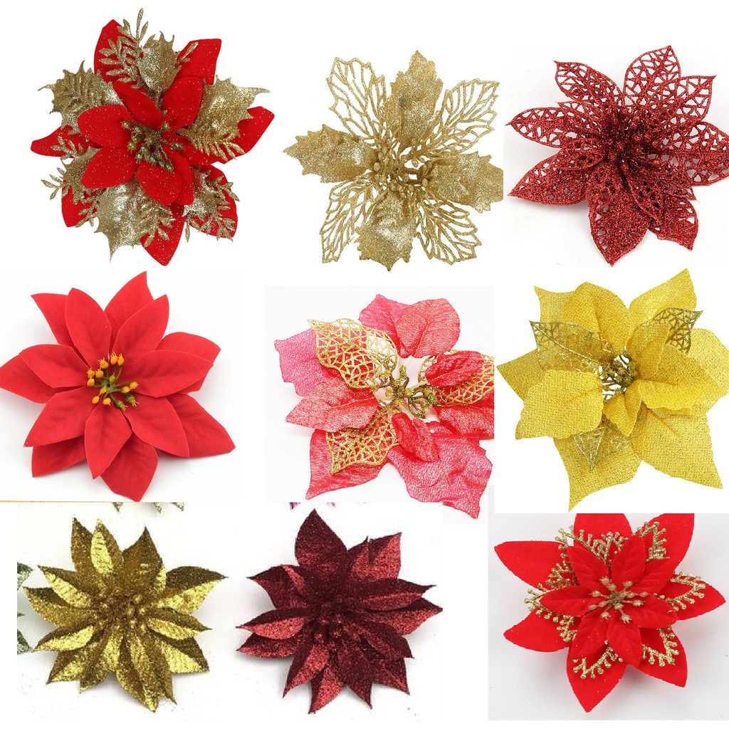 Bông trạng nguyên trang trí cây thông Noel