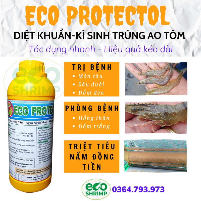 Diệt nấm, ghẻ, xuất huyết trên cá, diệt khuẩn, kí sinh trùng ao tôm, protectol
