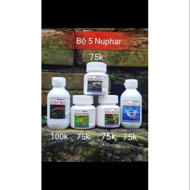 Bộ Sản Phẩm Nuphar - Bí Quyết Giúp Cá Khỏe - Anti Bio - Liquid Bacter - Mineral - Vita Extra - Bio Plus - Guppyxanh  Mineral