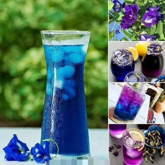 Trà Hoa Đậu Biếc Giúp Làm Đẹp và Trẻ Hóa Làn Da (Hộp 60gr) - Thảo dược Vietrap