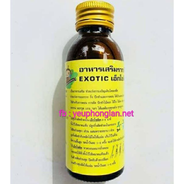 Exotic siêu ra rễ Thái Lan - 100ml Kích thích ra rễ nhanh mạnh