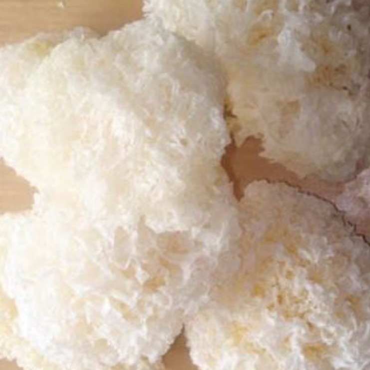Nấm tuyết 1 bông