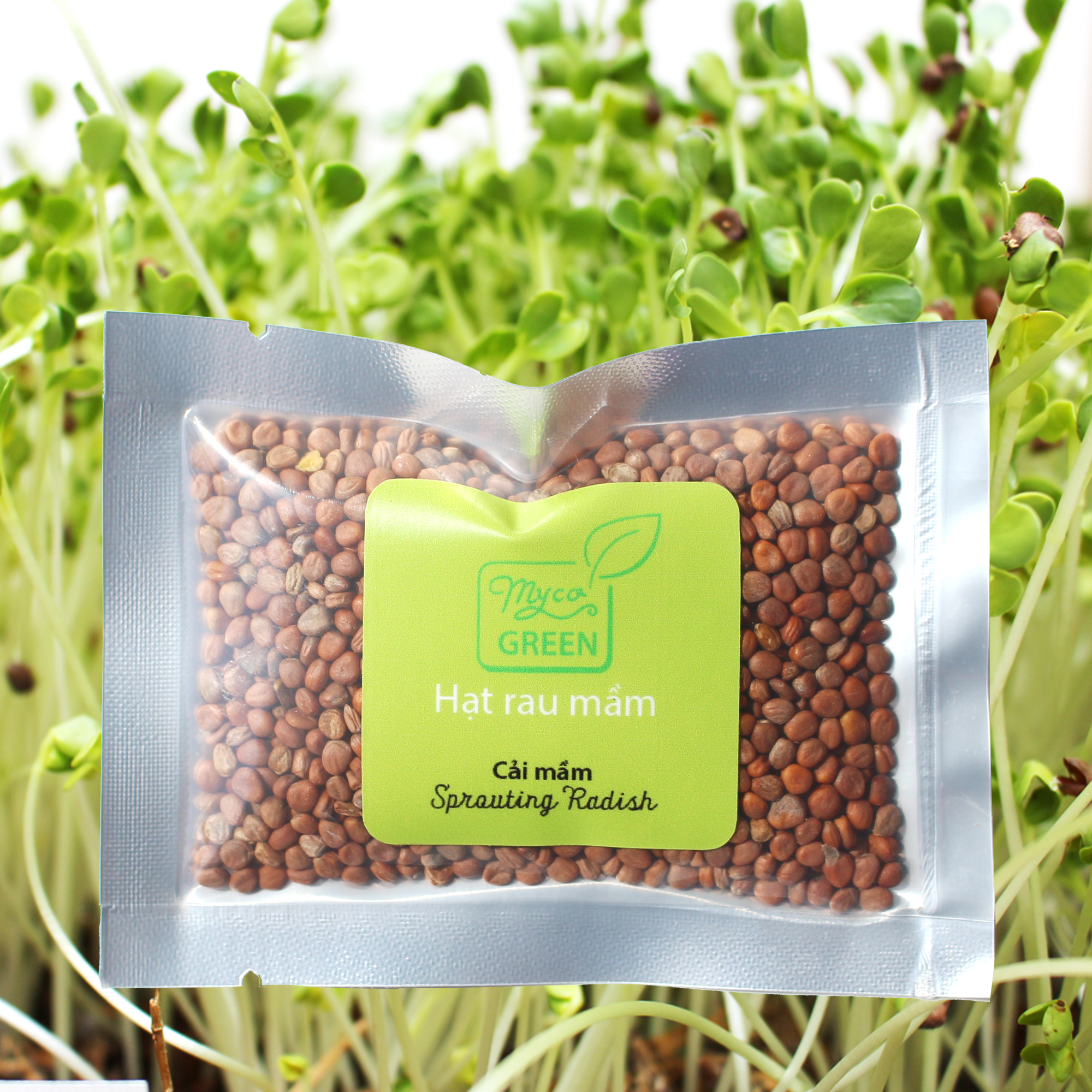 MycoGREEN - Hạt Cải Mầm 30g