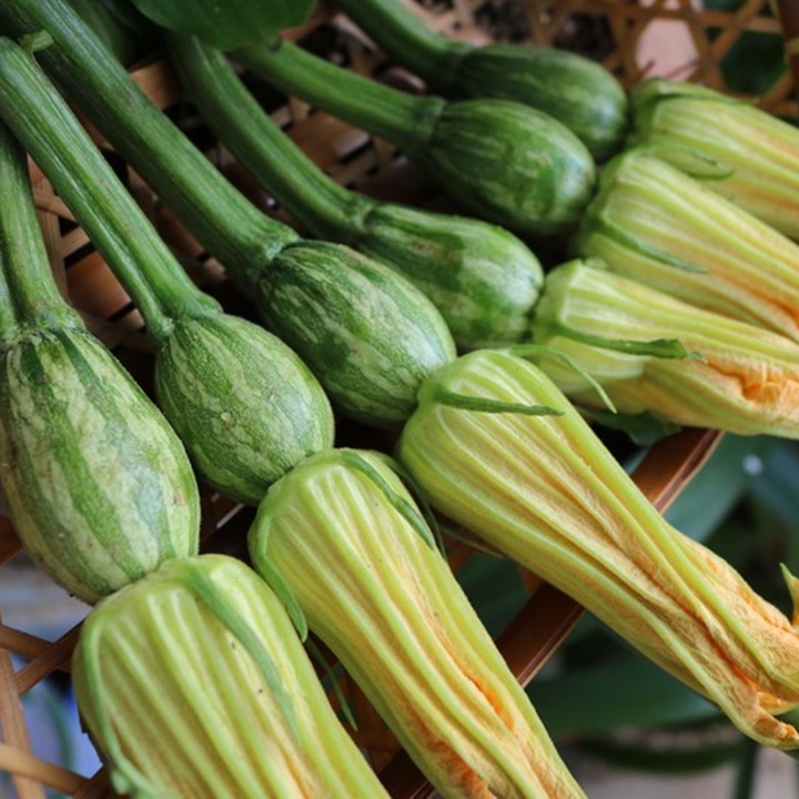 Hạt giống bí siêu nụ gói 10gr