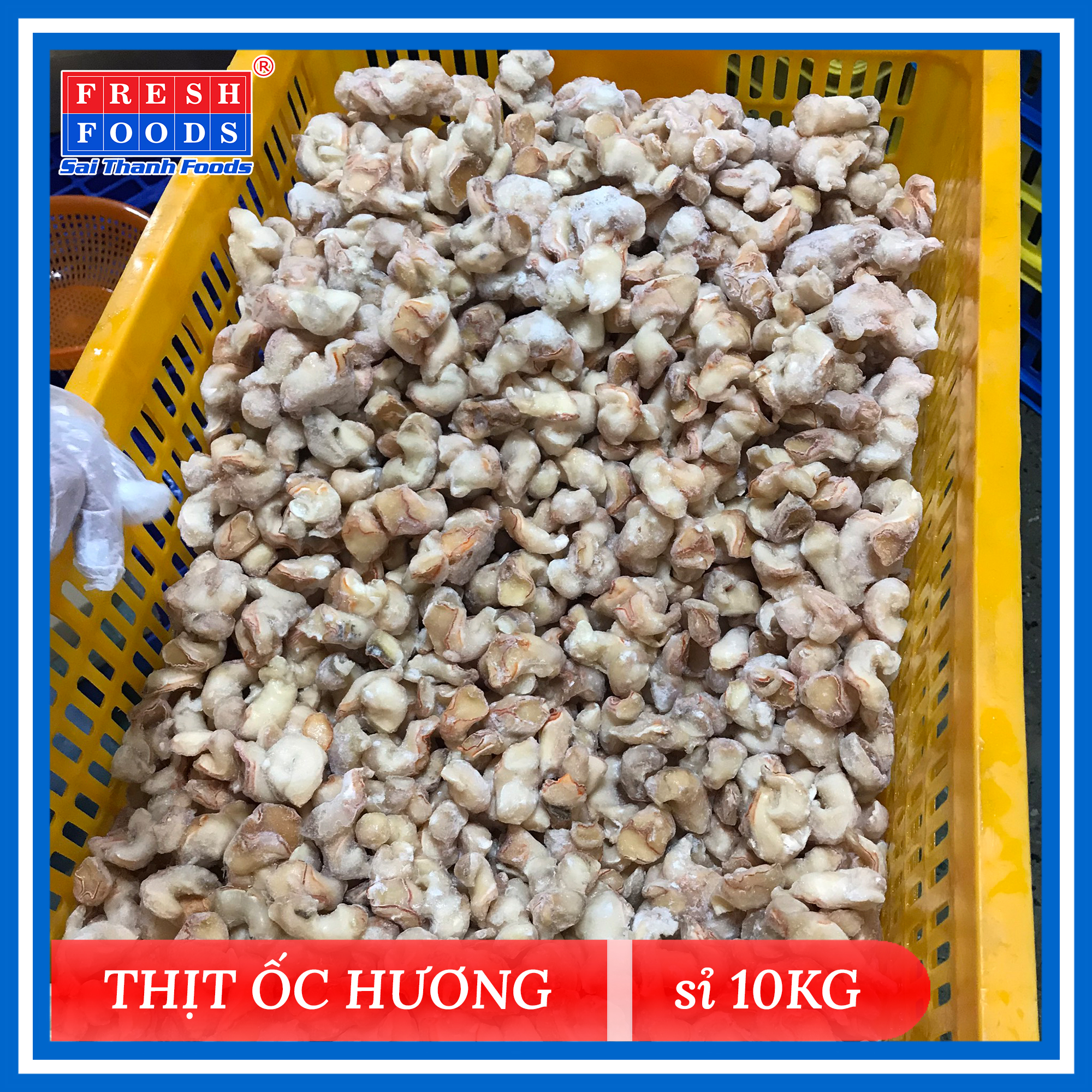 Thịt Ốc Hương - SaiThanhFoods