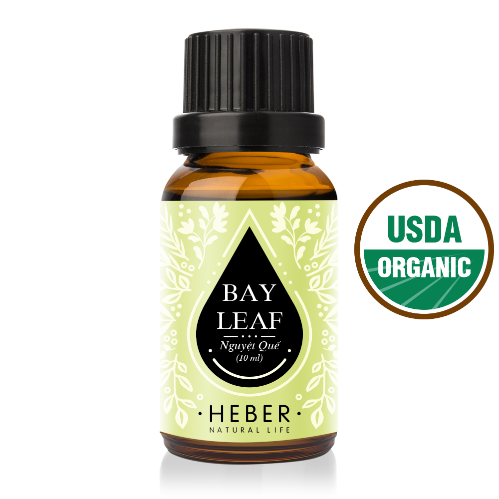 Tinh dầu Nguyệt Quế Bay Leaf Essential Oil Heber Vietnam, 100% Thiên Nhiên Nguyên Chất, Cao Cấp Nhập Khẩu, Kiểm Nghiệm Quatest 3, Xông Thơm Phòng, Hương Dịu Nhẹ