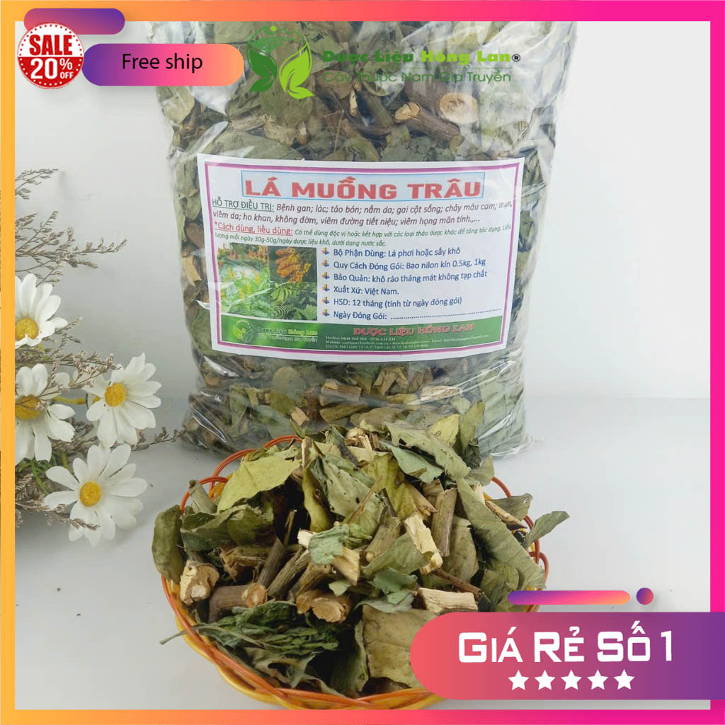 1kg Cây Muồng Trâu khô sạch [giúp nhuận tràng, giải nhiệt, sát trùng, lợi tiểu, chữa táo bón, các bệnh ngoài da như chàm, hắc lào, nấm da, dị ứng da…] Dược Liệu Hồng Lan