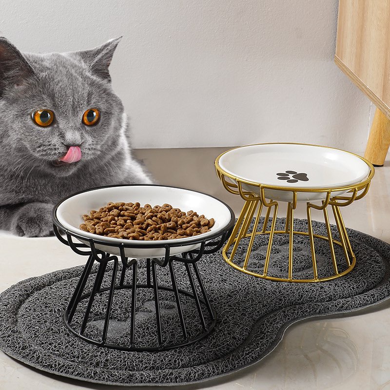 Đĩa sứ đựng thức ăn kèm đế chống gù cho cún mèo