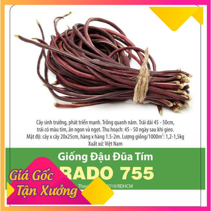 Hạt giống rđ-đậu đũa tím 755-10k
