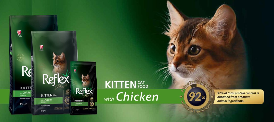 REFLEX PLUS Hạt cho mèo con vị gà | Reflex Plus Kitten Food Chicken