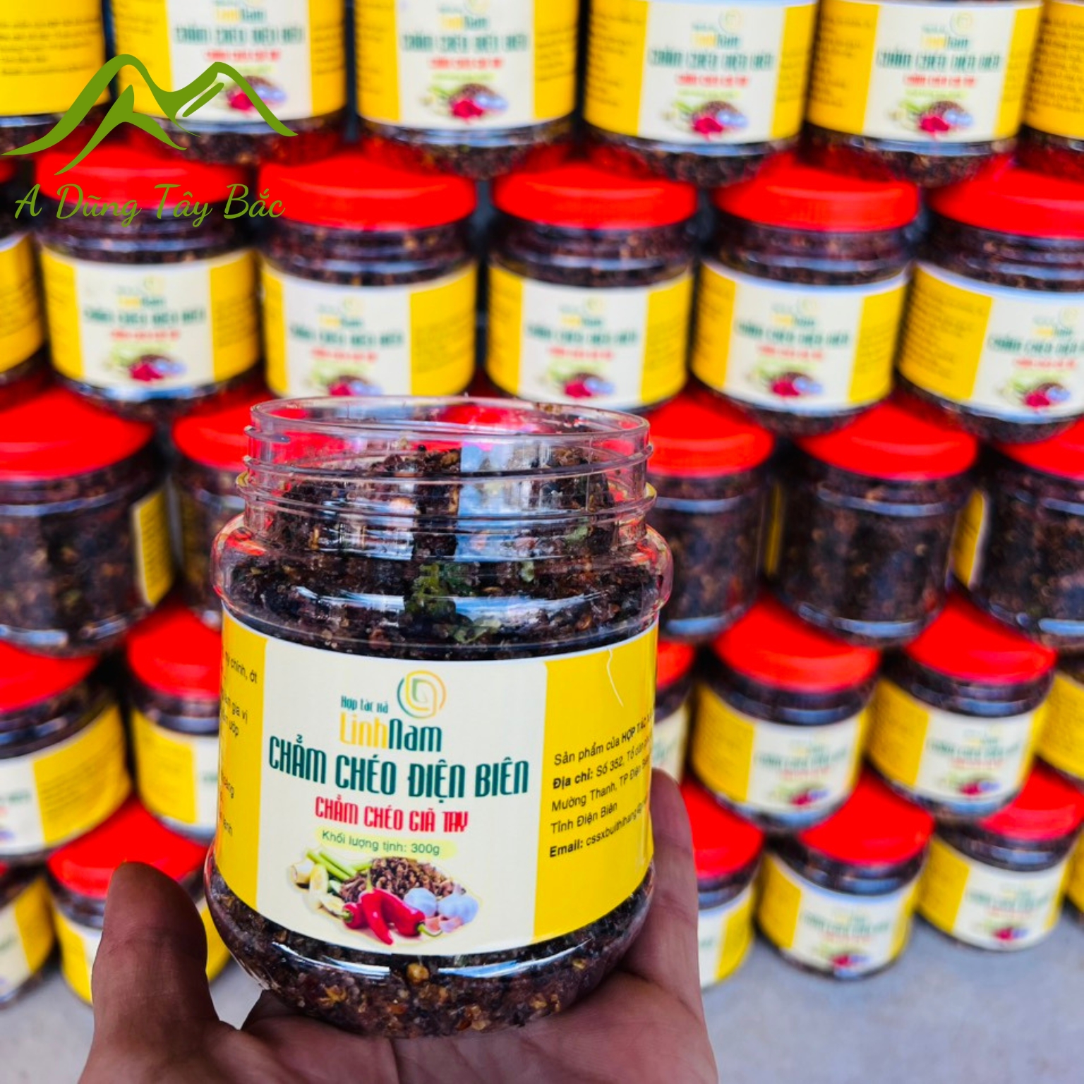 Chẩm chéo giã tay đặc biệt Linh Nam Điện Biên (hũ 300g) ngon đặc biệt. Chẩm chéo khô ướt Tây Bắc chuẩn vị, chẳm chéo sapa tv, huho food