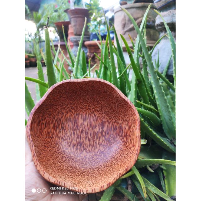 Tô Gỗ Dừa Hoa Mai 16Cm Tô Gỗ Trang Trí