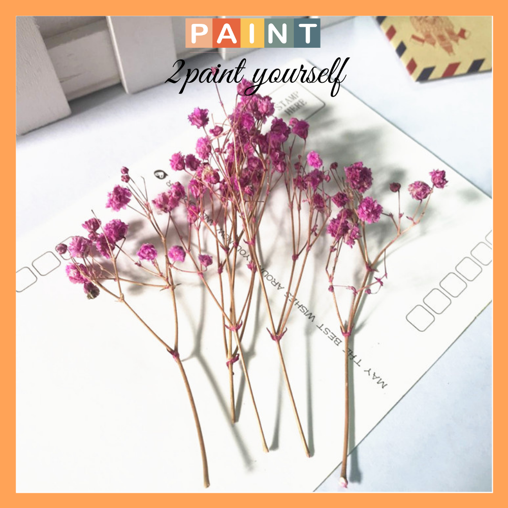 Set đầu Baby hoa khô trang trí handmade, phụ kiện chụp hình vintage decor ( Nhiều màu )