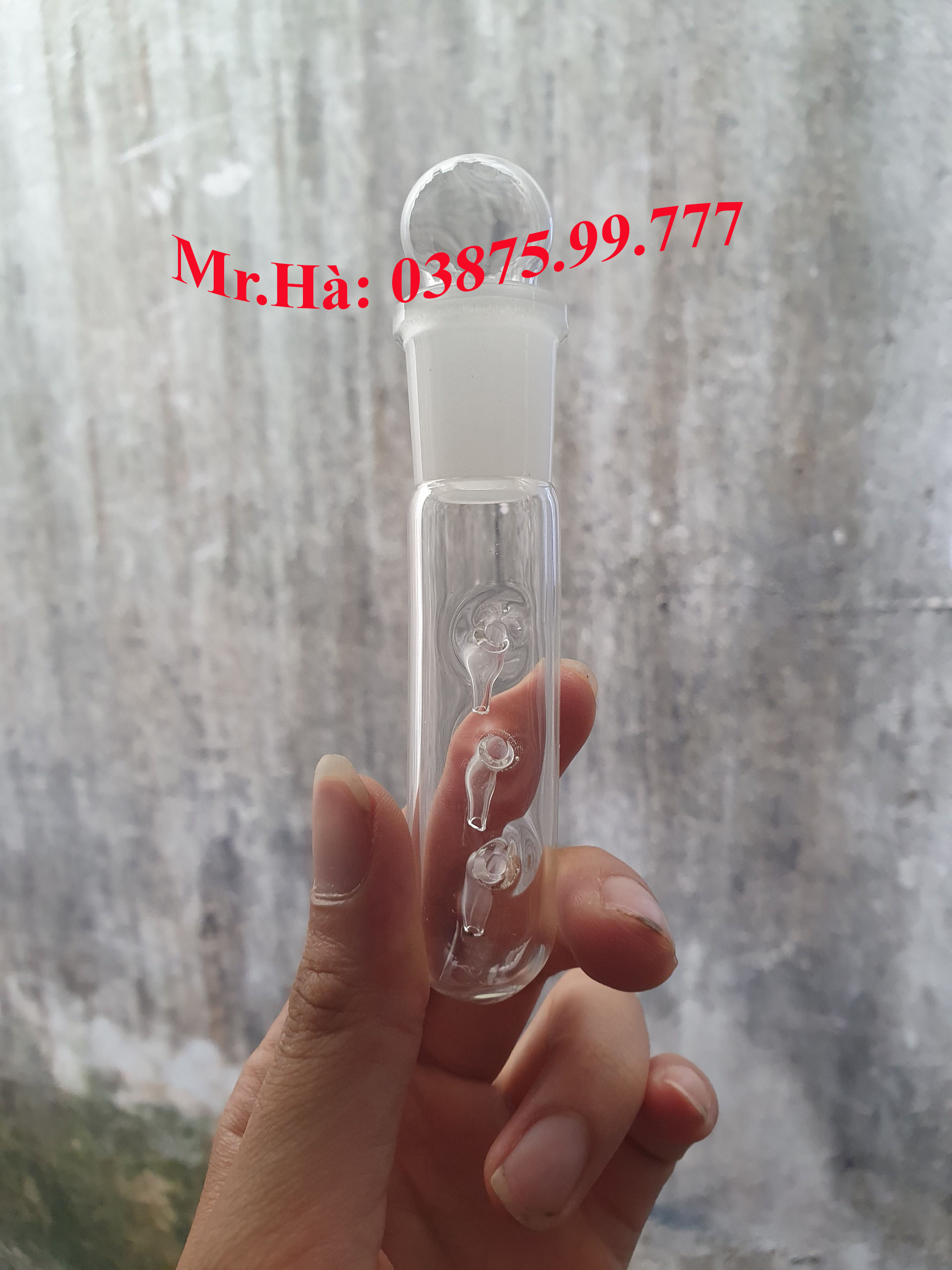 Bẫy sán cho bể cá, bể tép cảnh