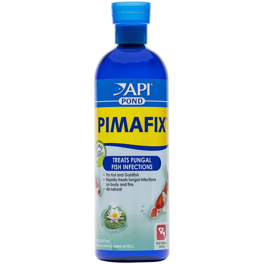 Api - pimafix pond - diệt nấm cho cá nước ngọt& mặn