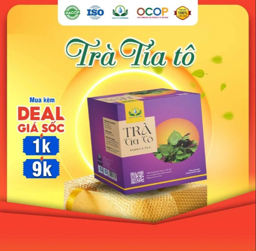 Trà tía tô , hộp 30 túi lọc 100% chính hãng .