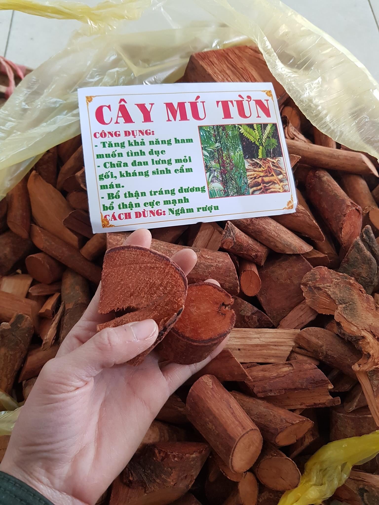 1kg rễ cây mú từn khô chuẩn