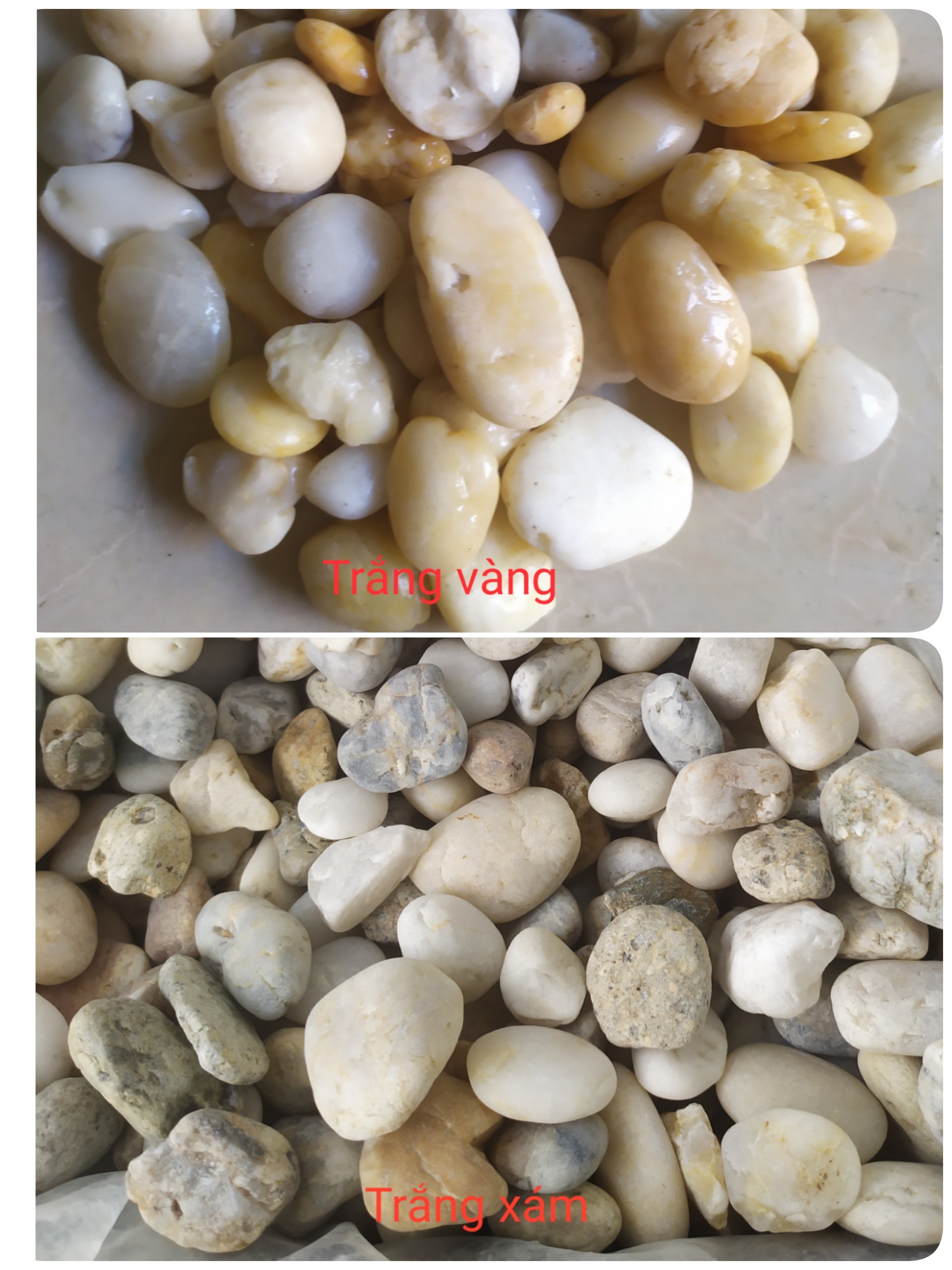 Sỏi biển thiên nhiên viên lớn (1-3cm)  1kg trang trí bể cá,sân vườn ,....