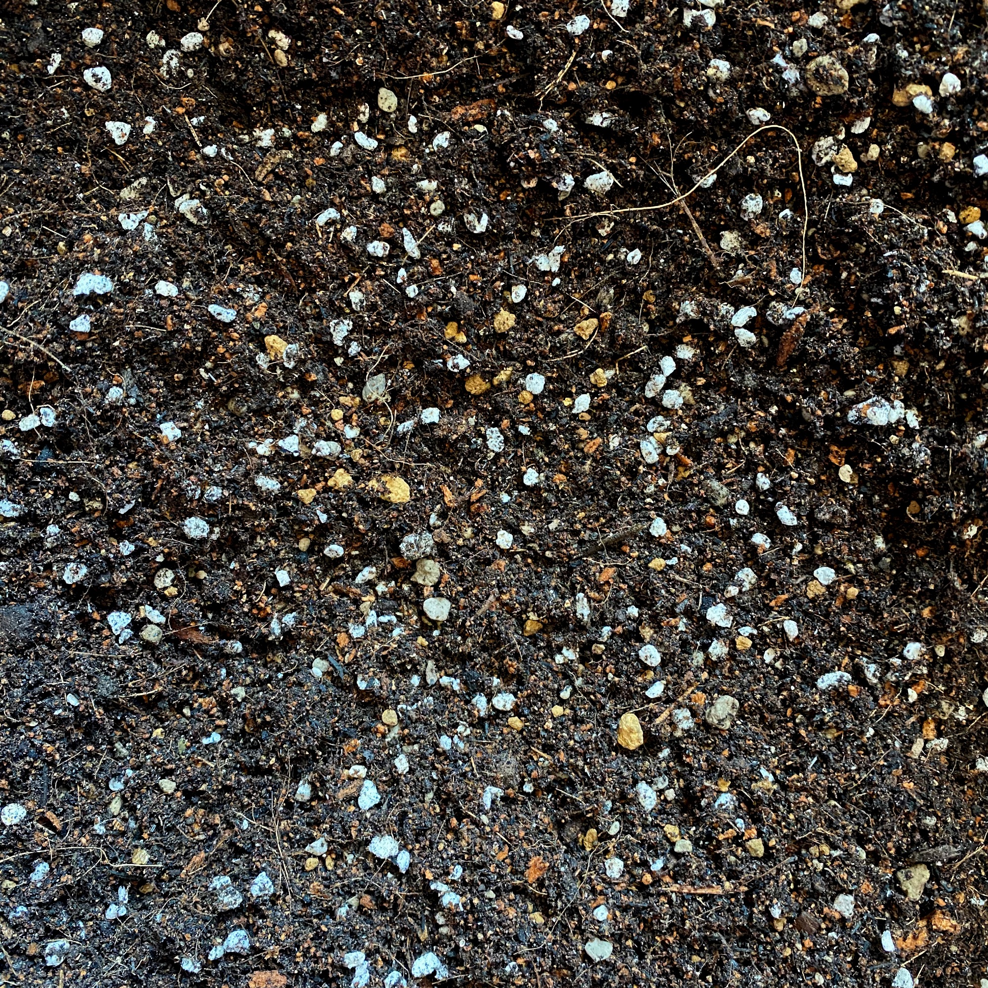 500GRAM ĐẤT TRỒNG SEN ĐÁ XƯƠNG RỒNG CAO CẤP, TỐT CHO CÂY