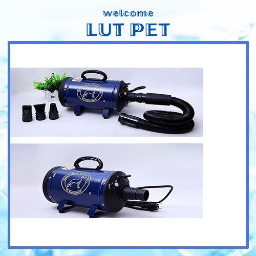 Máy sấy lông chó mèo BS-2400 Pet Dryer - công suất 2200W CHUNZHOU