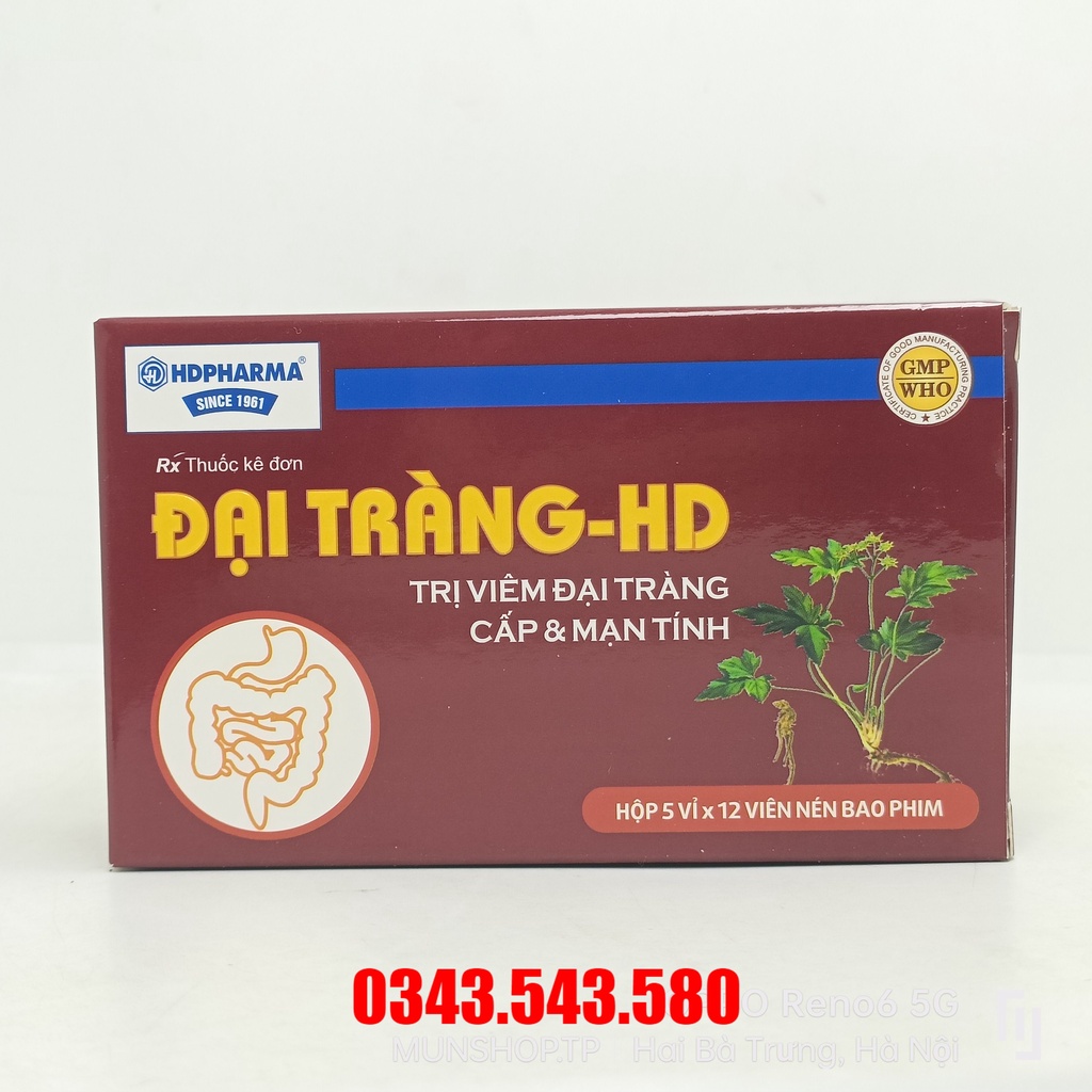Đại tràng - hd viêm đại tràng cấp và mạn tính hộp 60 viên