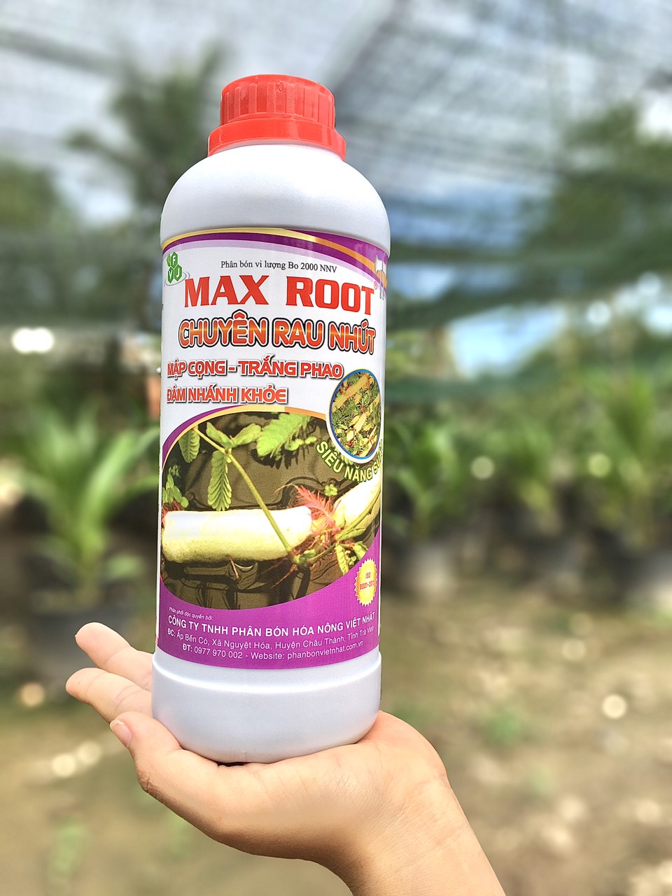 Phân bón chuyên dùng cho Rau Nhút : mập cọng- trắng phao 1 Lít