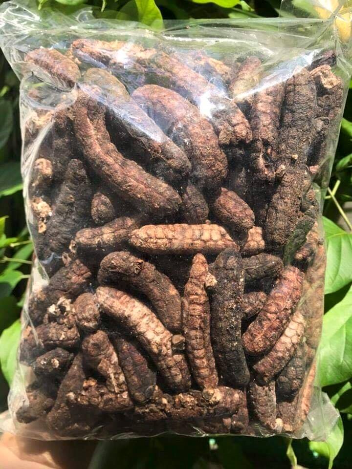Túi 1kg chuối hột rừng, chuối rừng nguyên quả phơi khô, ngâm rượu, bổ thận, tráng dương