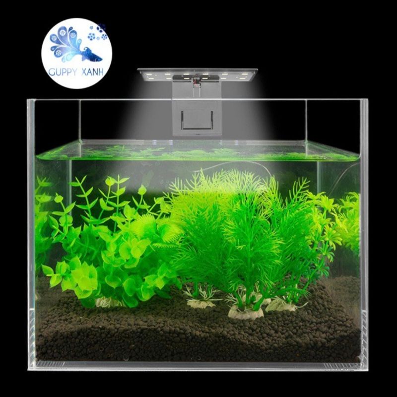 Đèn led x5 10w Jeneca siêu sáng giành cho hồ Mini size từ 20cm đến 50cm