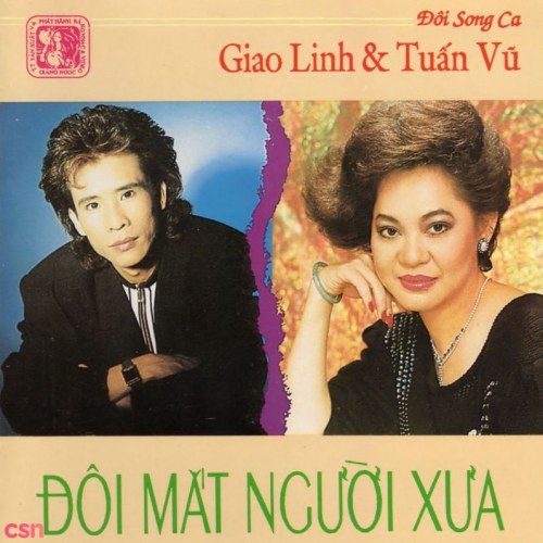 MP3 TUẤN VŨ SONG CA NHẠC VÀNG 120 Bài Hát Lossless
