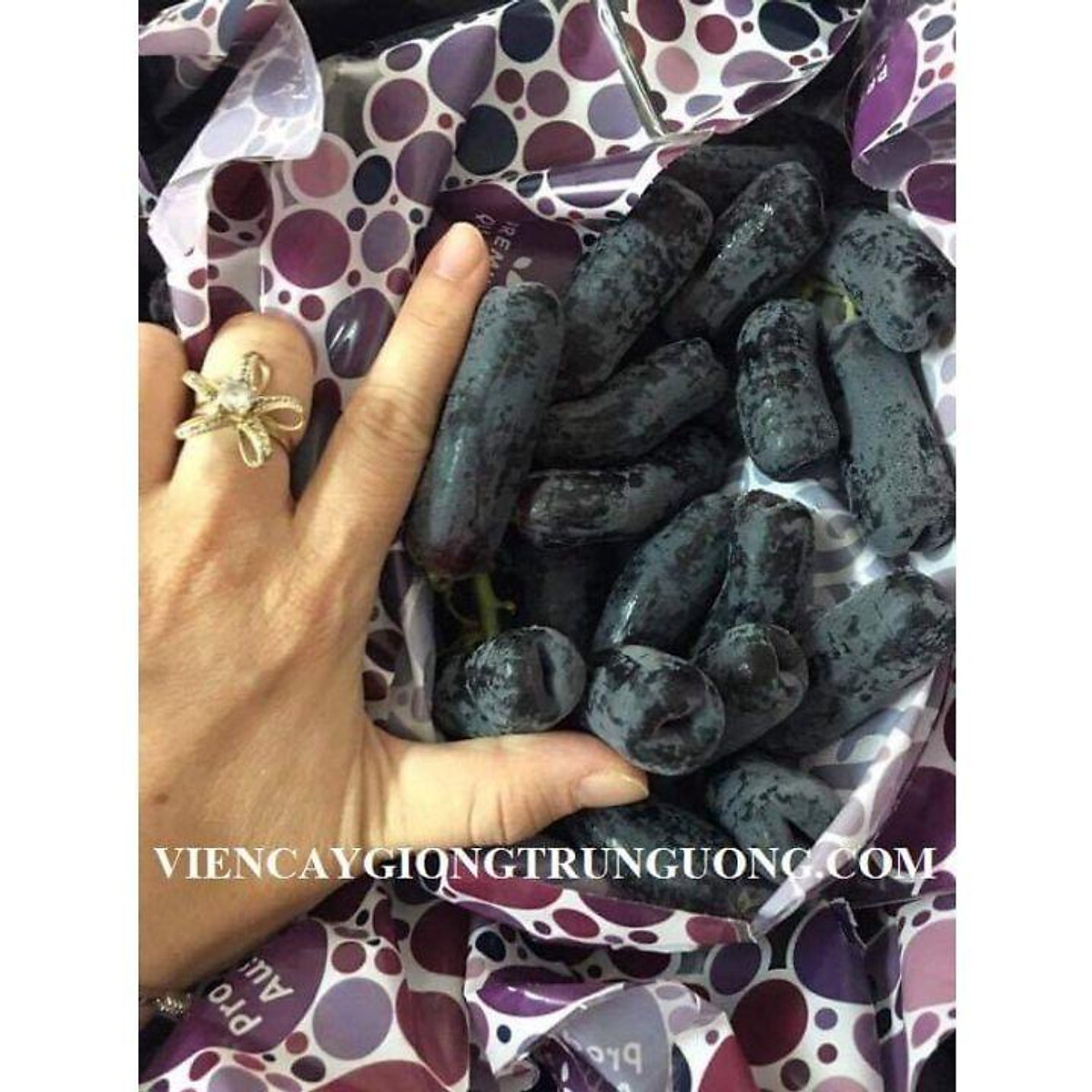 Xả giá siêu rẻ........ NHO ĐEN TRÁI DÀI Giá 190,000 Đồng*Miễn phí vận chuyển