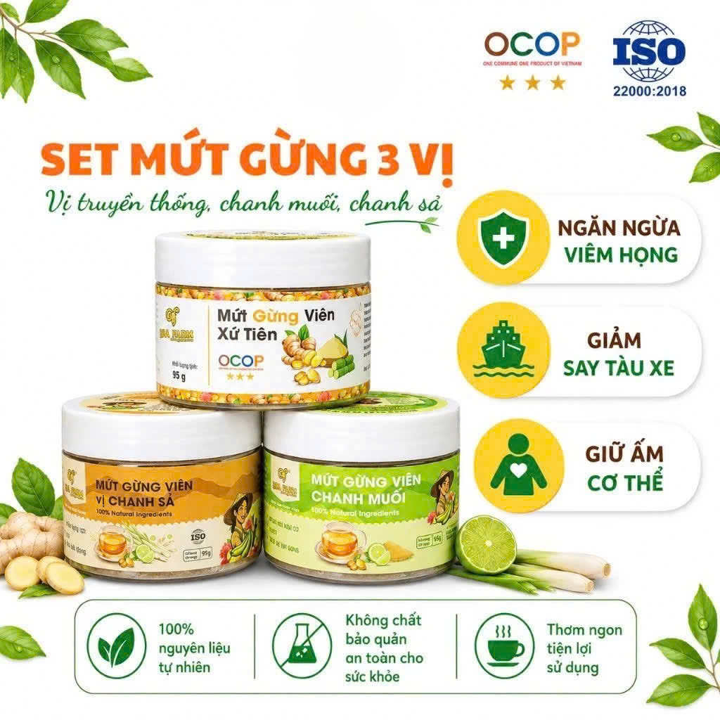 SET 3 HŨ MỨT GỪNG VIÊN QNA FARM 95G – VỊ TRUYỀN THỐNG/ CHANH MUỐI/ CHANH SẢ – NGẬM HO, GIỮ ẤM CƠ THỂ