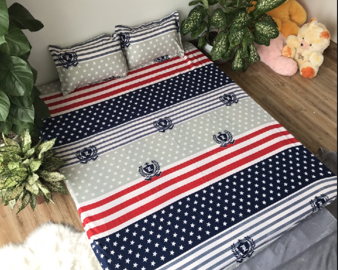 Bộ ga và 2 vỏ gối mẫu cờ mỹ
