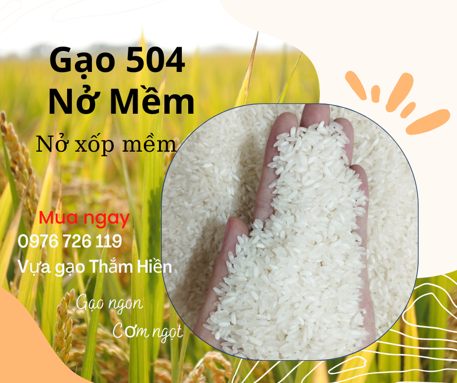 5kg gạo nở mềm - gạo nở xốp mềm cơm