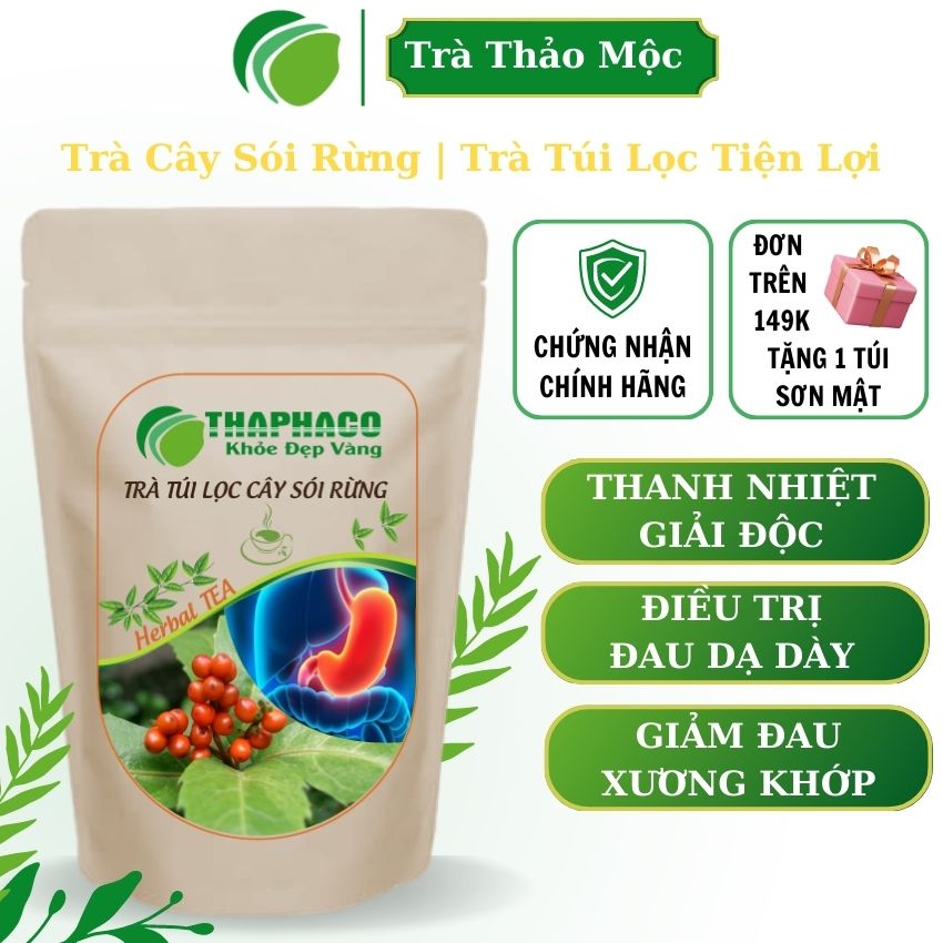 Trà Túi Lọc Cây Sói Rừng Thaphaco