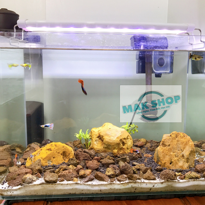 (Màu Trắng) Đèn Led Máng 40-50cm 3 Hàng Bóng 14W Cho Hồ Cá Cảnh, Hồ thủy Sinh