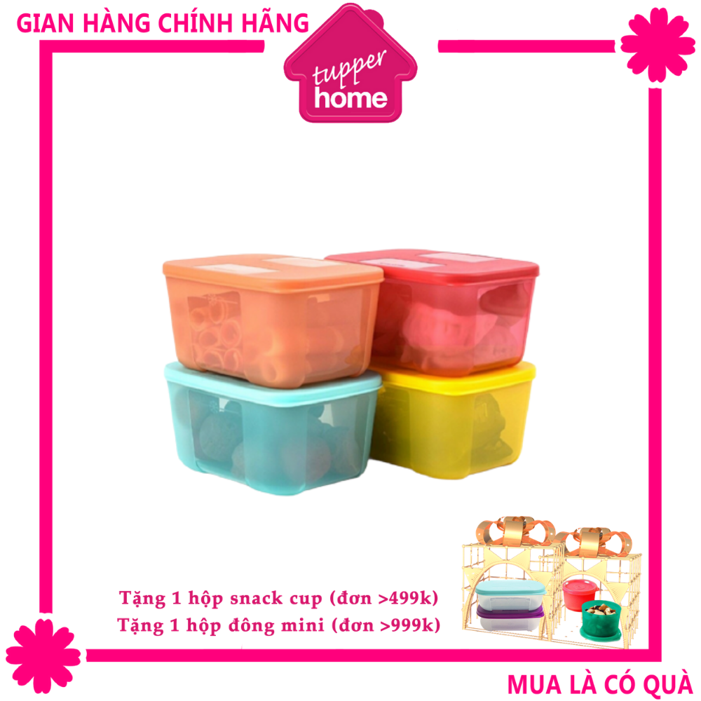 Bộ 4 hộp trữ đông freezermate rainbow 650ml tupperware