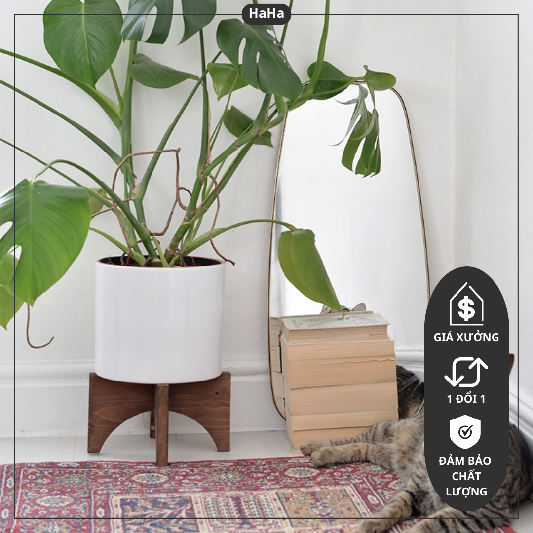 Đôn gỗ mini đặt cây cảnh sơn phủ chống mối mọt nhiều kích thước nhiều màu CCG11