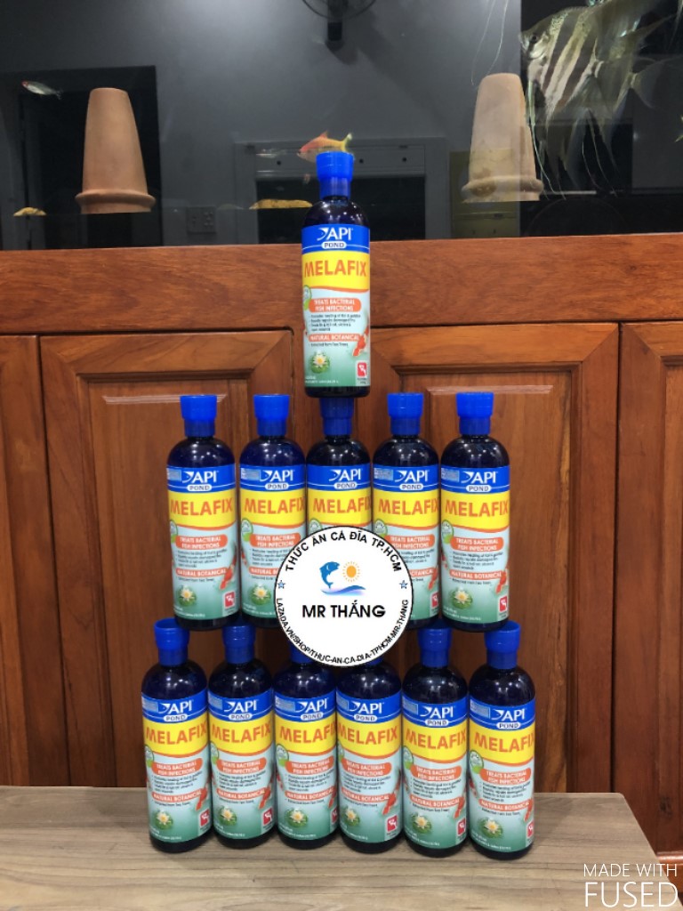 API Pond Melafix 473ml: Dung dịch chống nhiễm trùng do vi khuẩn ở cá