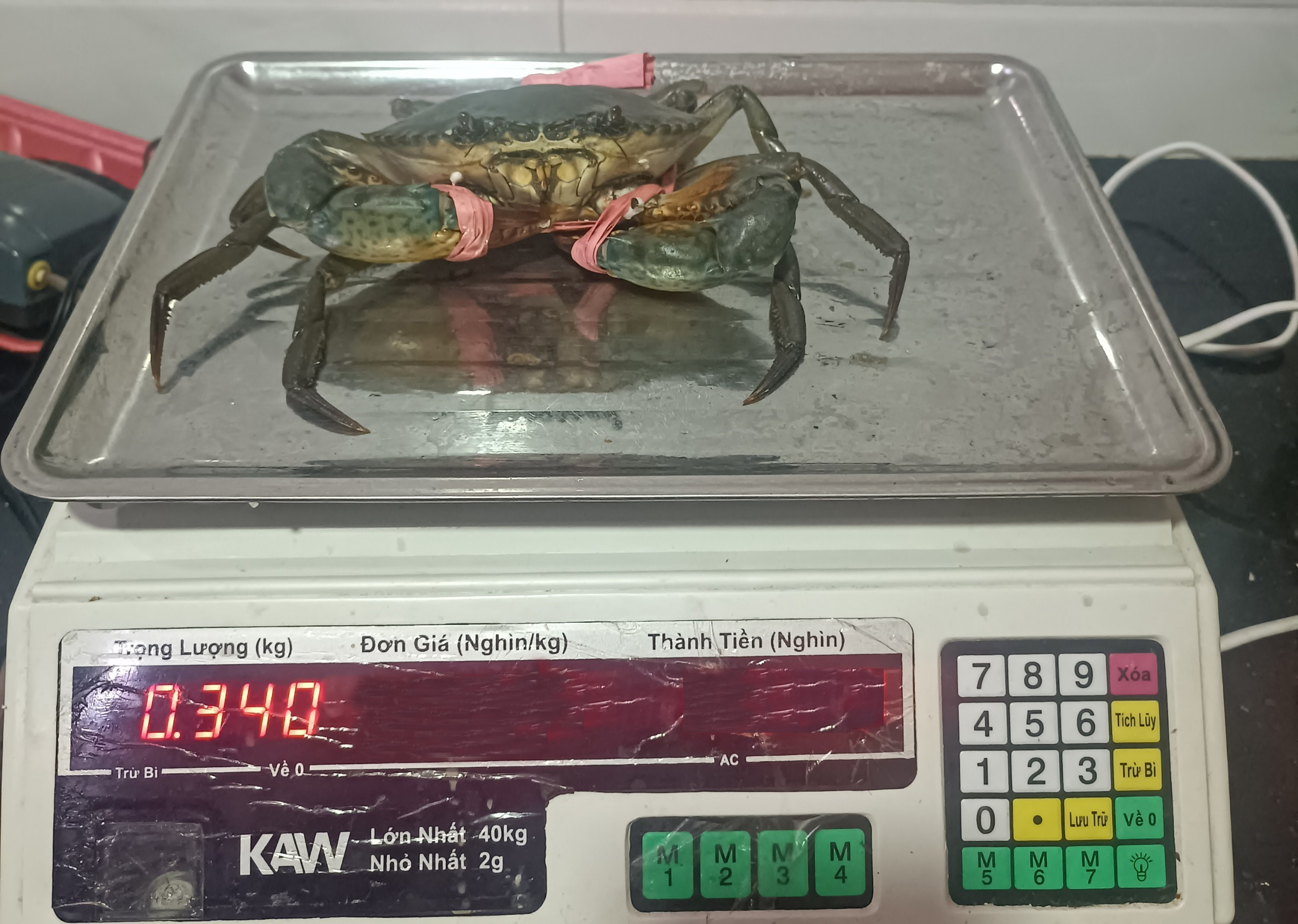 CUA BIỂN LOẠI 3 CON 1KG